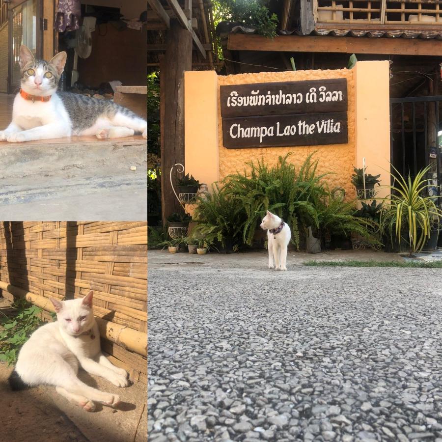 Champalao The Villa Vang Vieng Exterior foto